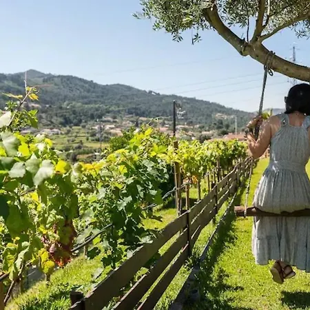 Fernandes Yellow Chalet *