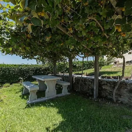 Chalet Fernandes Yellow Ponte de Lima