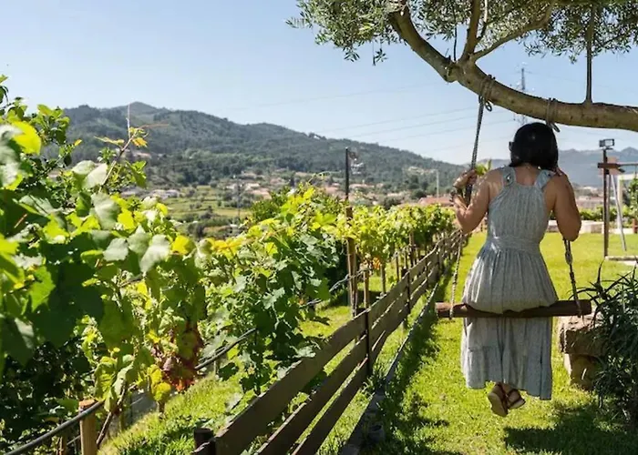 Fernandes Yellow Alpstuga *